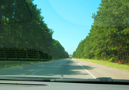 Look, no frontage roads on this Central Arkansas freeway! But plenty of tall trees.  